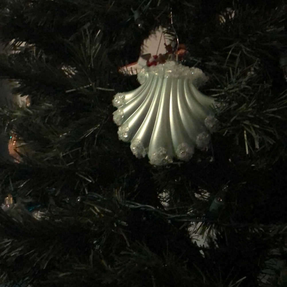 Meet your Posher, Ellen